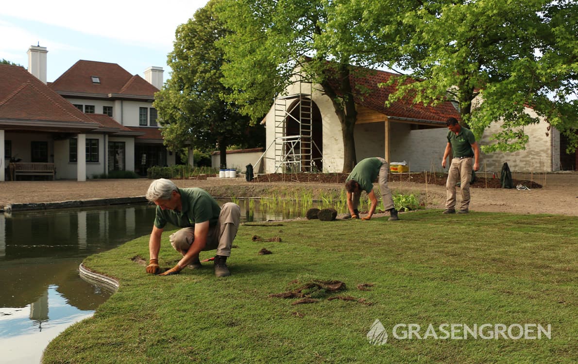 Gazon2 • Gras en Groen website